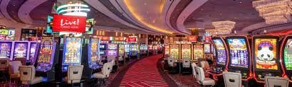 Multi-sport and casino dashboard view
